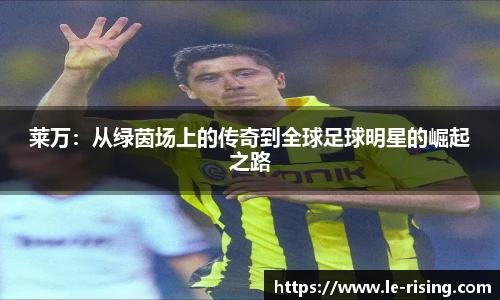 今年会jinnianhui官网
